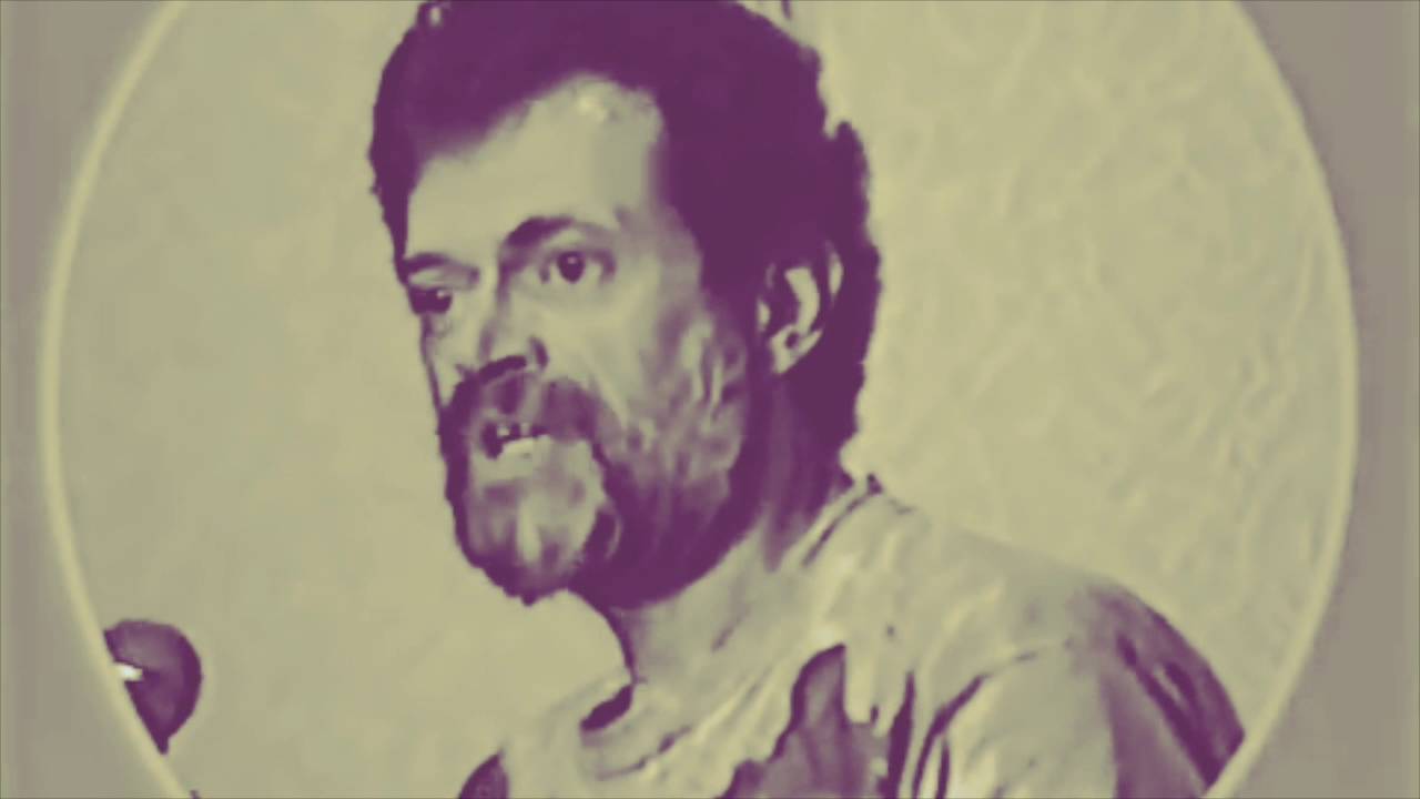 Terence McKenna - If You Could Have Anything
